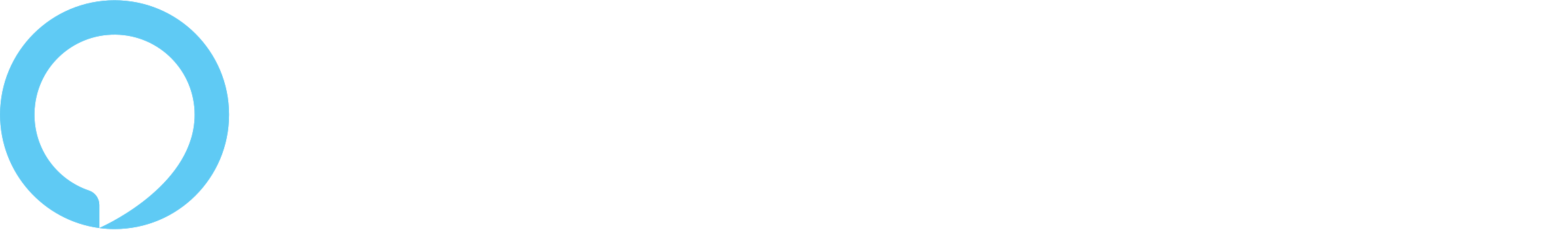 Palm Coast Amazon Alexa Skill logo